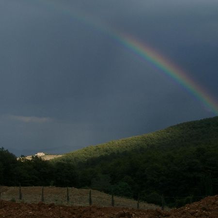 Agriturismo La Provenca キアンチャーノ・テルメ エクステリア 写真