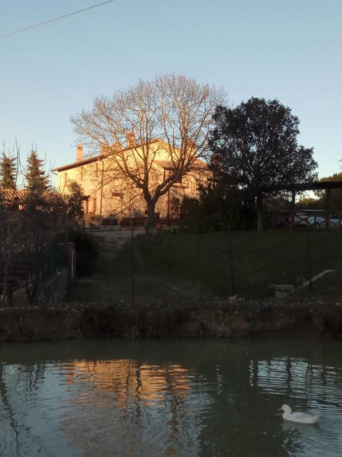 Agriturismo La Provenca キアンチャーノ・テルメ エクステリア 写真
