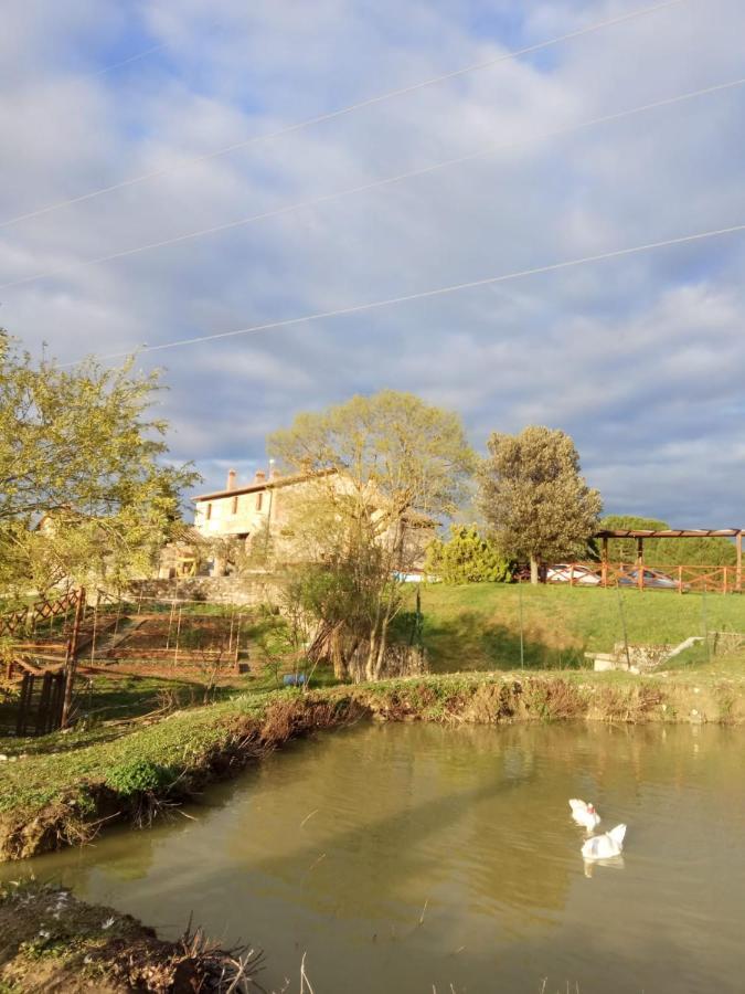 Agriturismo La Provenca キアンチャーノ・テルメ エクステリア 写真