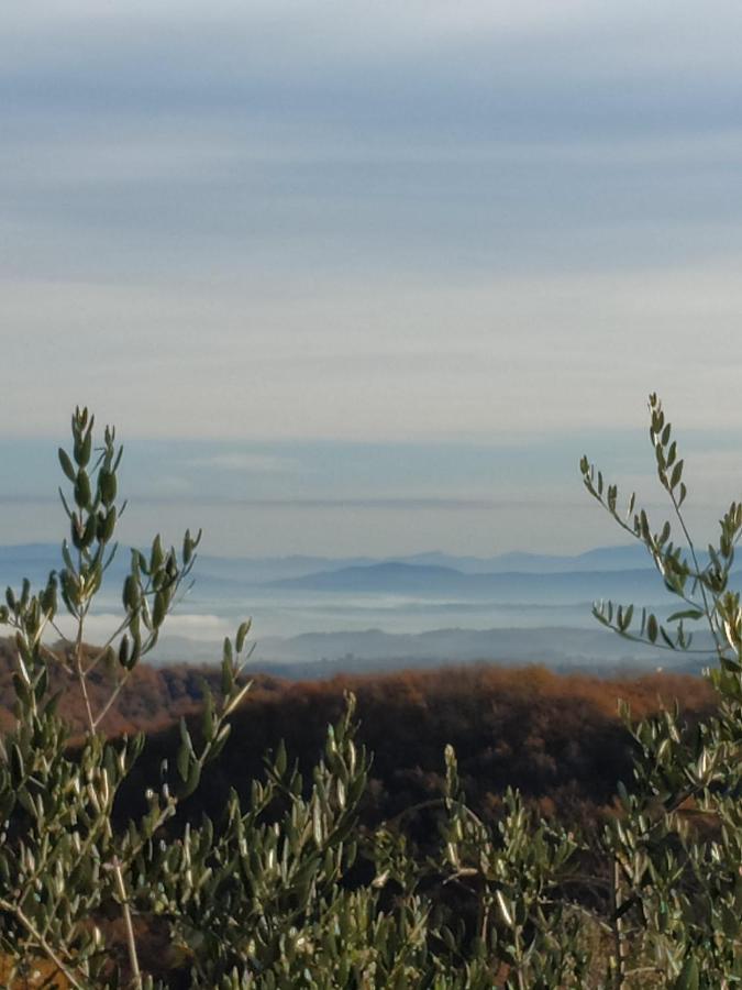 Agriturismo La Provenca キアンチャーノ・テルメ エクステリア 写真