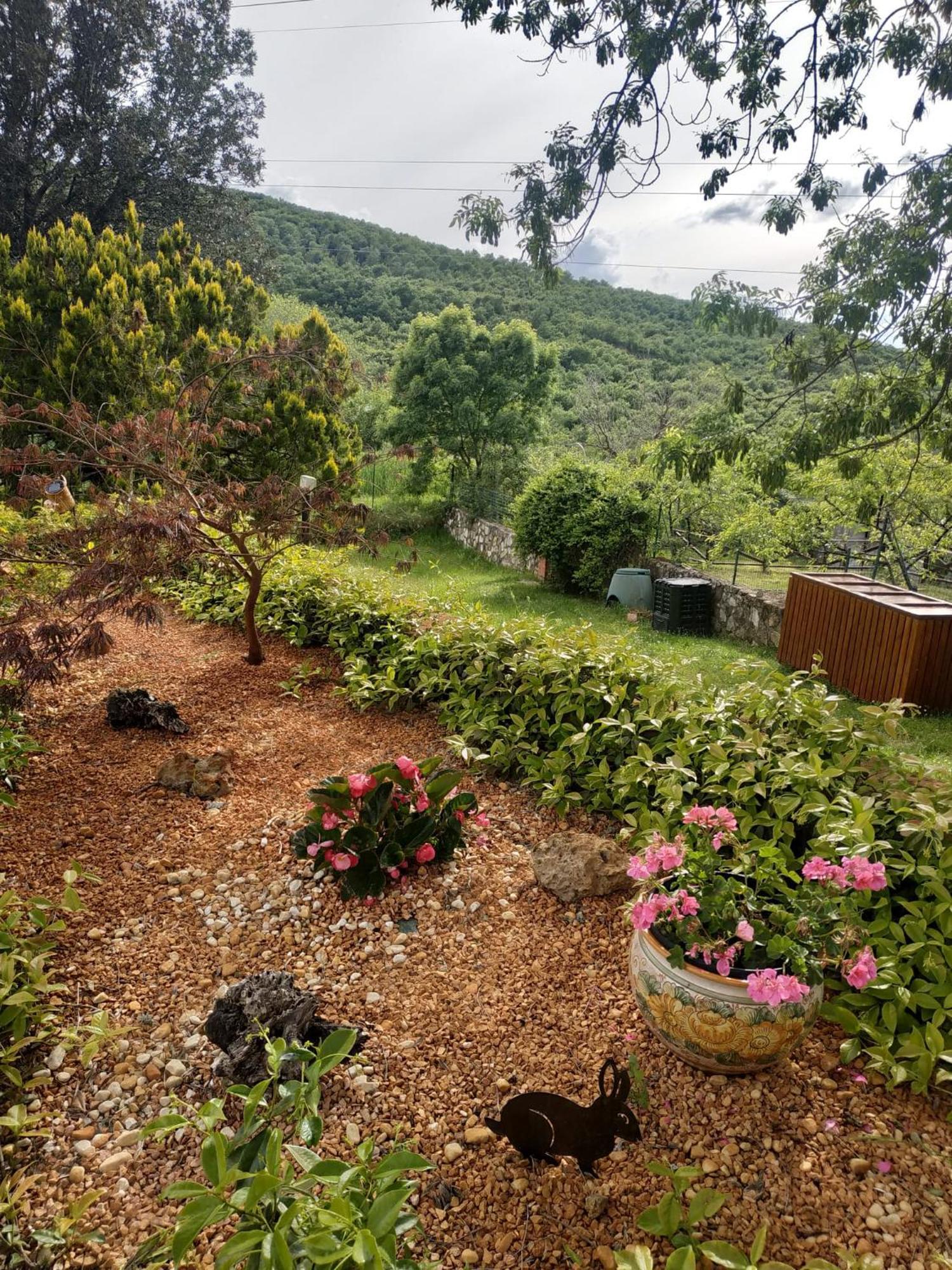 Agriturismo La Provenca キアンチャーノ・テルメ エクステリア 写真