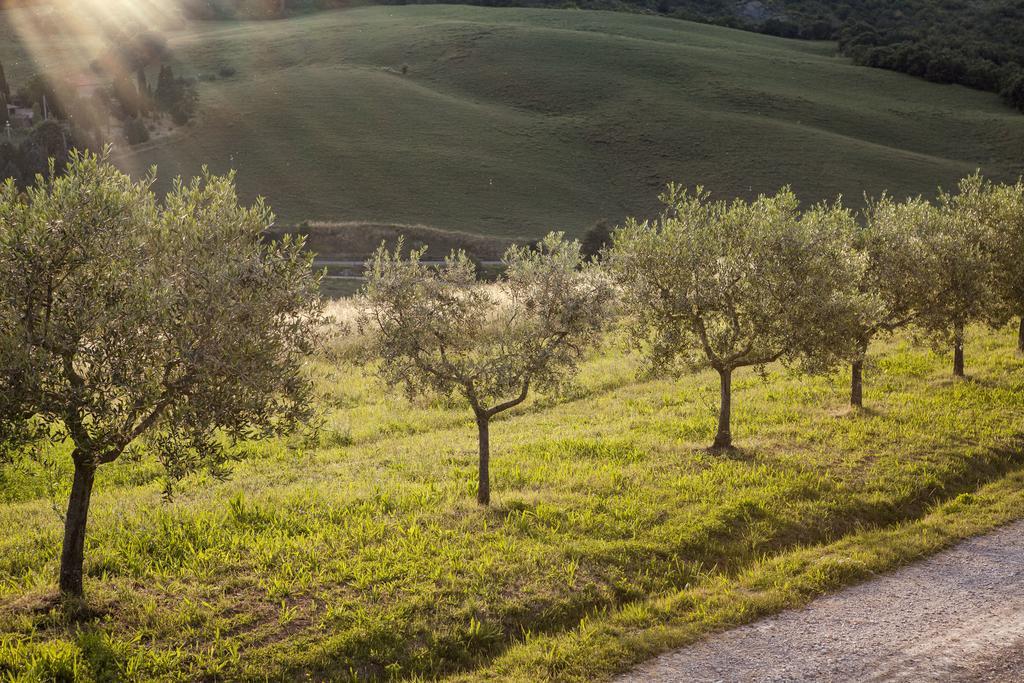 Agriturismo La Provenca キアンチャーノ・テルメ エクステリア 写真