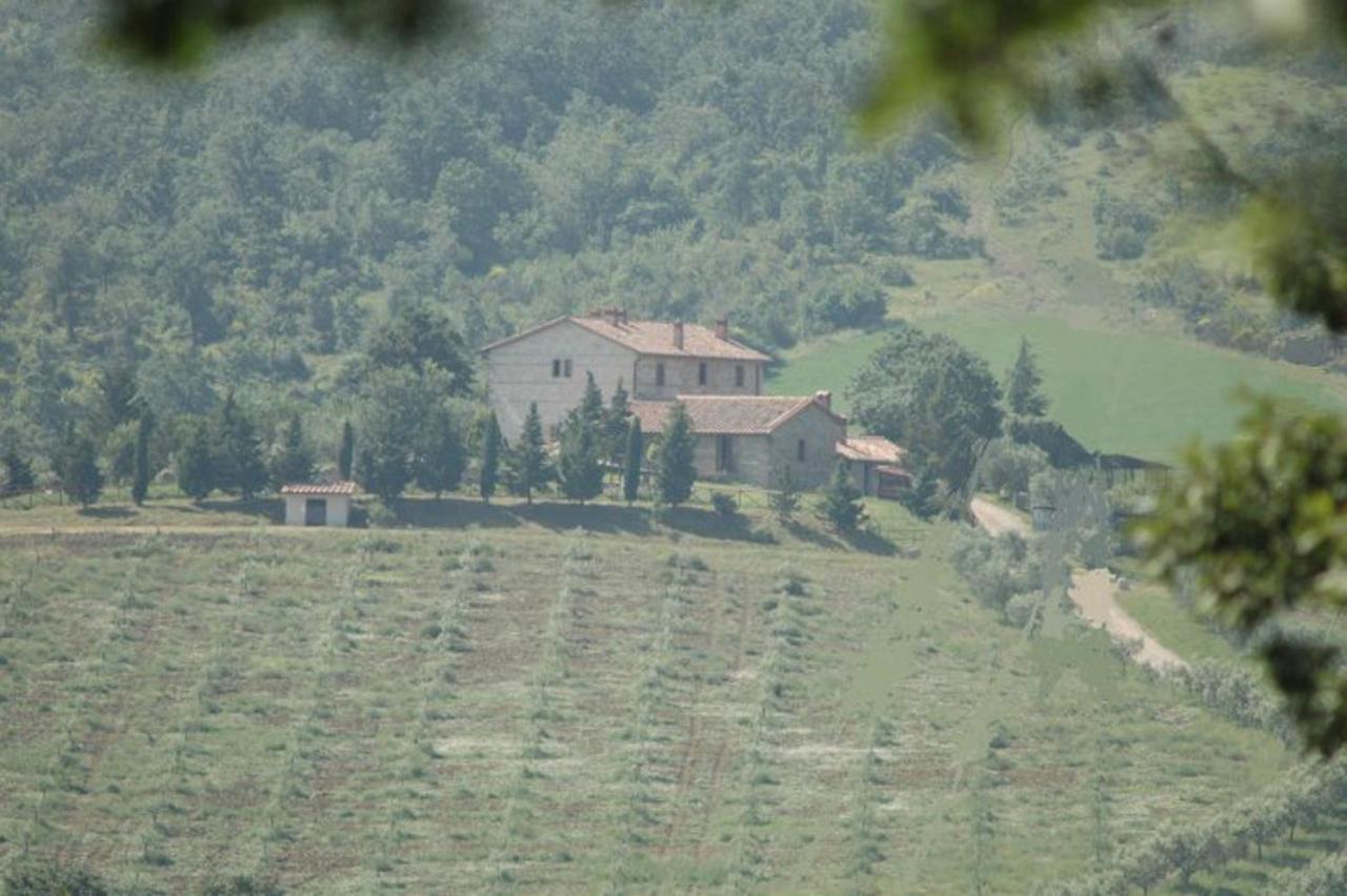 Agriturismo La Provenca キアンチャーノ・テルメ エクステリア 写真